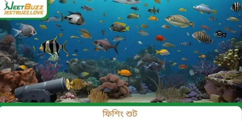 ফিশিং শুট